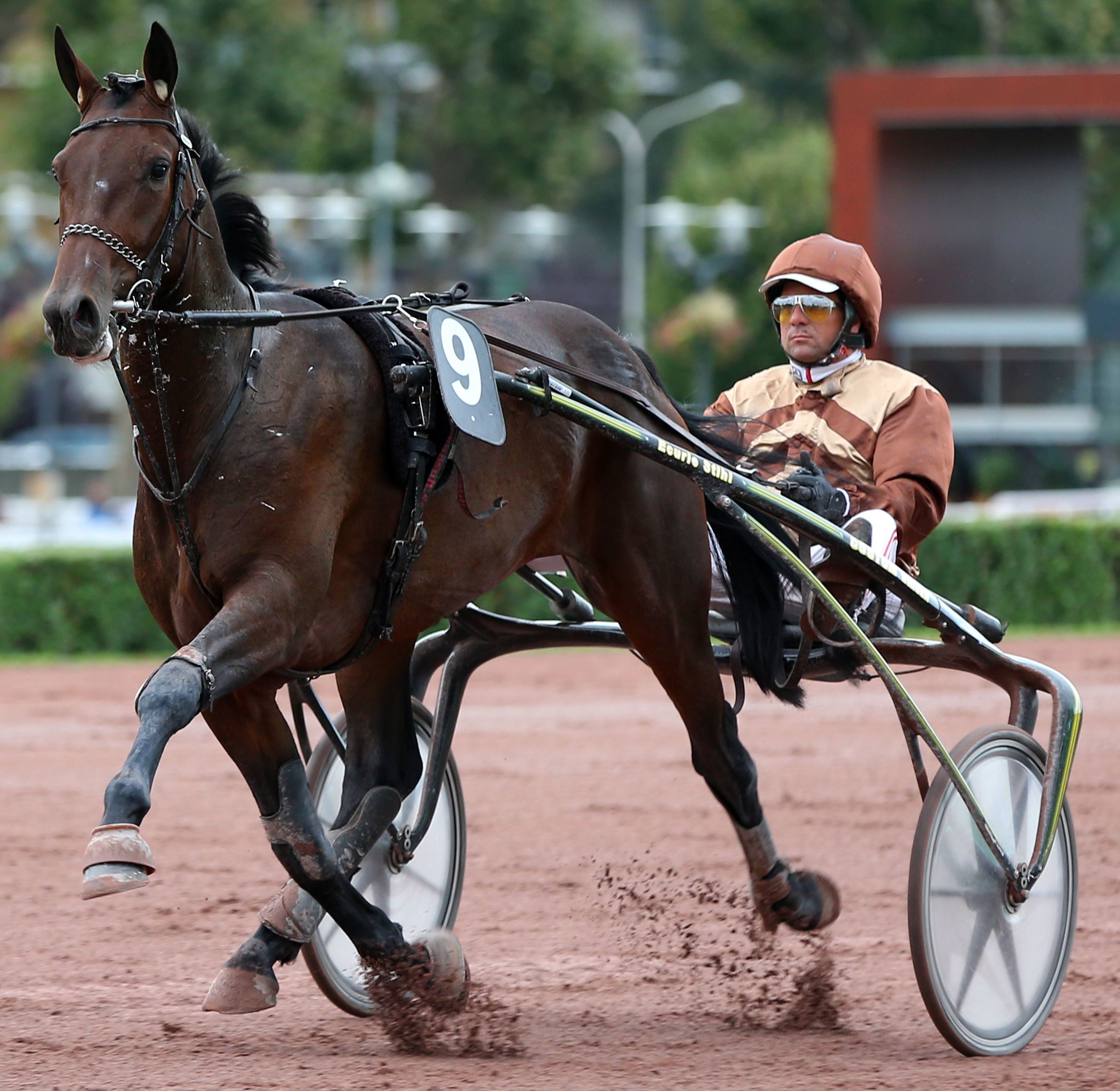 Mercredi 6 Février à Vincennes: Le course par course!
