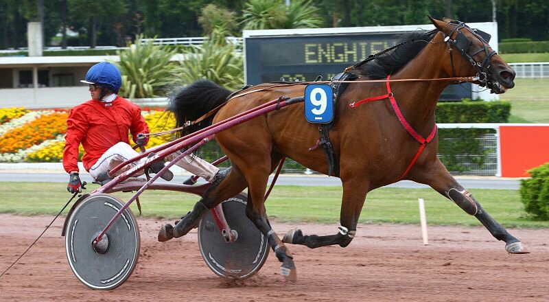 Dimanche 15 juillet à Enghien : Comtesse du Chêne vers le coup de deux ?