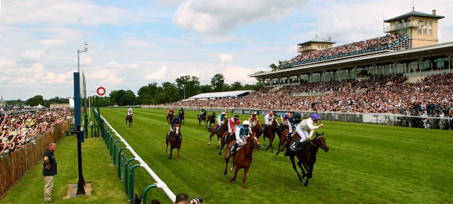 Vendredi 8 Mars à Chantilly: Les chevaux de Sam!