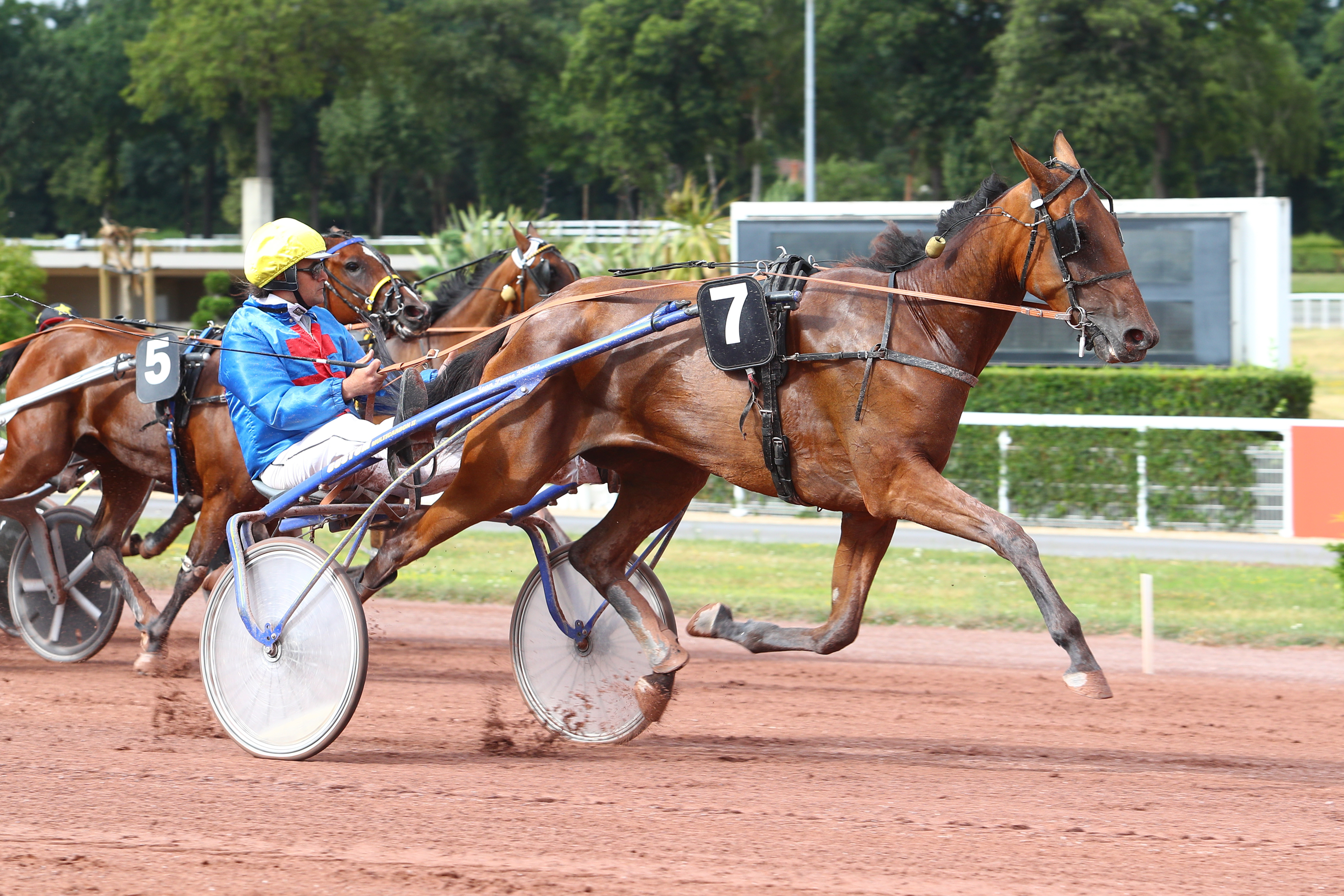 Dimanche 5 août à Enghien : FLO WOOD peut surprendre !