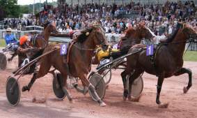 Mercredi 26 Septembre: Vire: Le course par course!