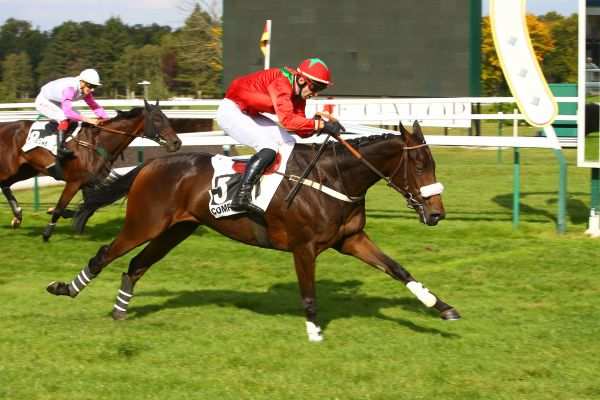 Mardi 17 Juillet: Meslay du Maine: Des sauteurs à retenir en priorité!