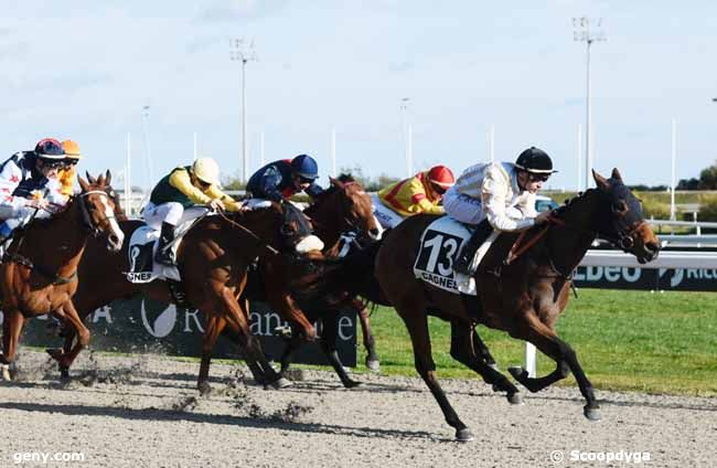 Mercredi 20 Février: Le cheval du jour de Tony!