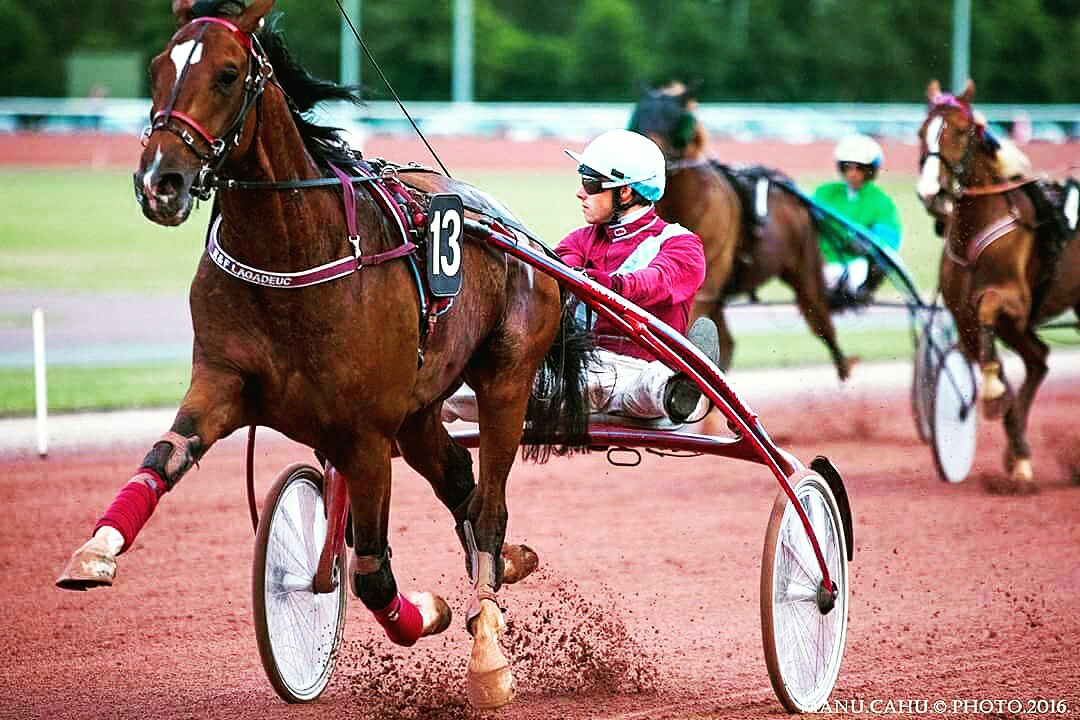 Vendredi 28 Juillet à Cabourg : les chances de la soirée !