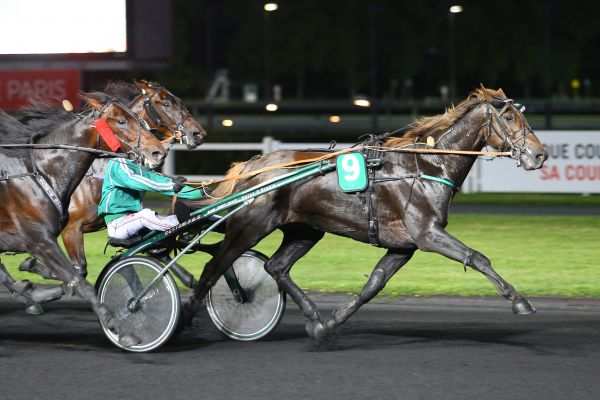 Vendredi 29 juin à Vincennes : Docteur d’Erable soignera sa course !