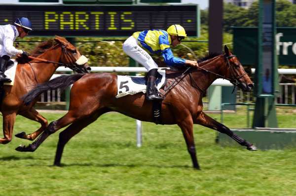 Vendredi 22 Juin: R4 Chantilly : Mes 3 Chevaux du jour!
