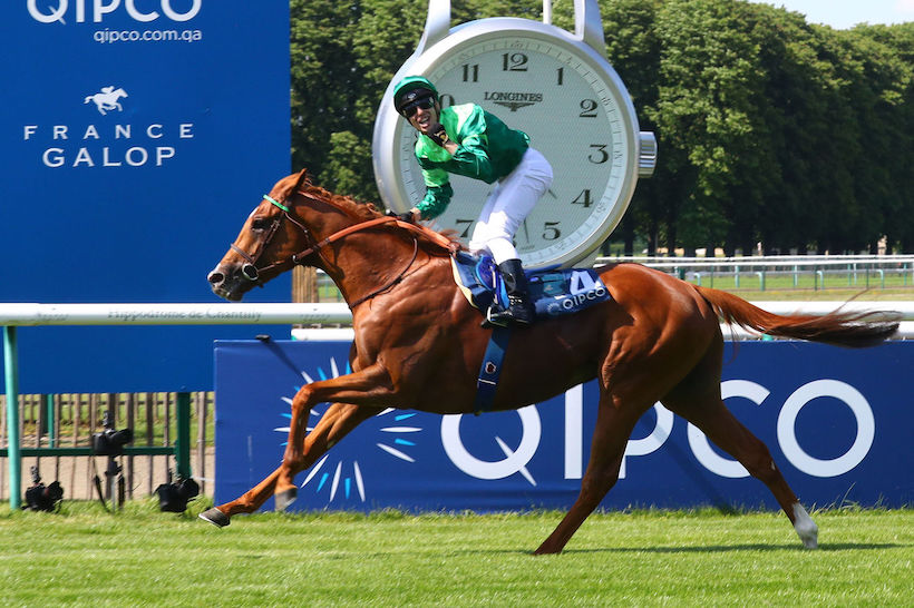 Semaine du Qatar Prix de l’Arc de Triomphe: SOTTSASS, l’espoir des « frenchies »