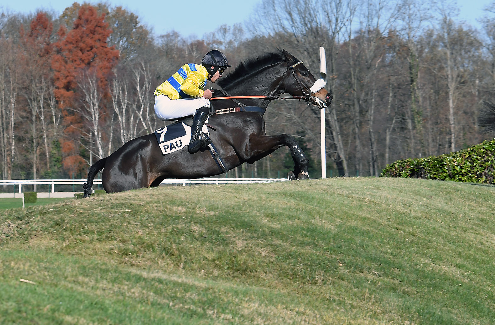 Mardi 31 Décembre à Pau: On termine l’année en beauté!