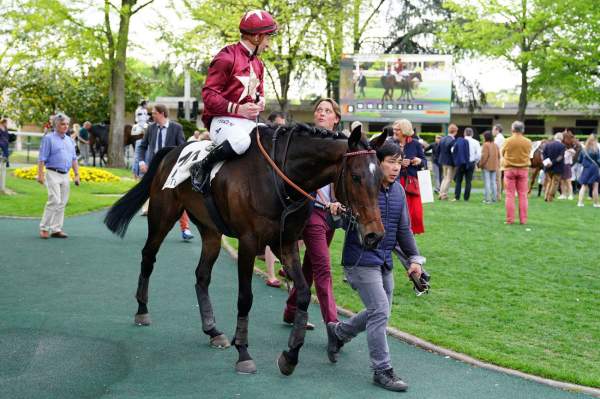 Mercredi 18 Décembre à Pau: Les chocos du jour!