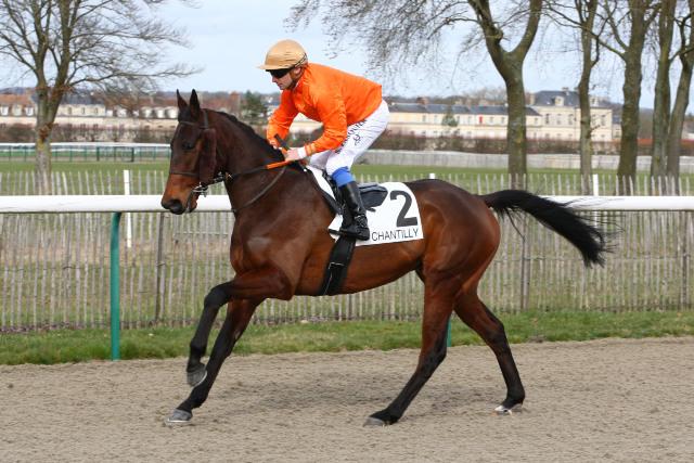 Lundi 6 Janvier: Les bons coups de Sam!