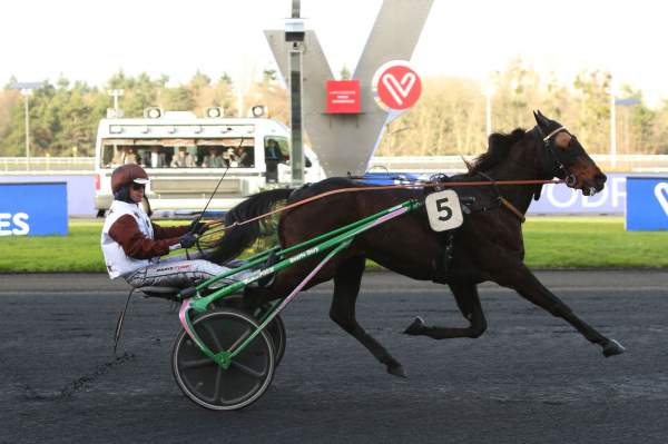 Samedi 1er Février à Vincennes: Notre sélection!