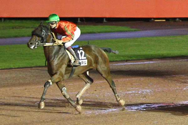 Vendredi 6 Mars à Enghien: Notre sélection!