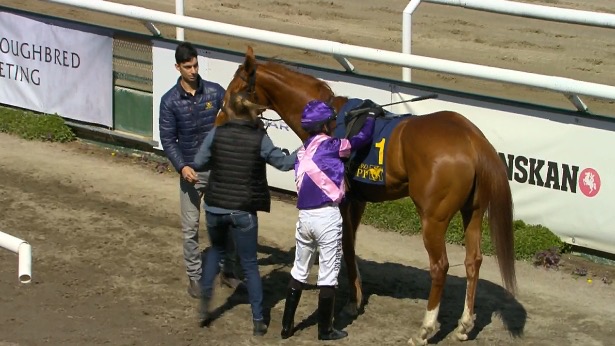 Mercredi 29 Avril à Bro Park : Per-Anders Gråberg donne son avis sur ses montes de la journée!