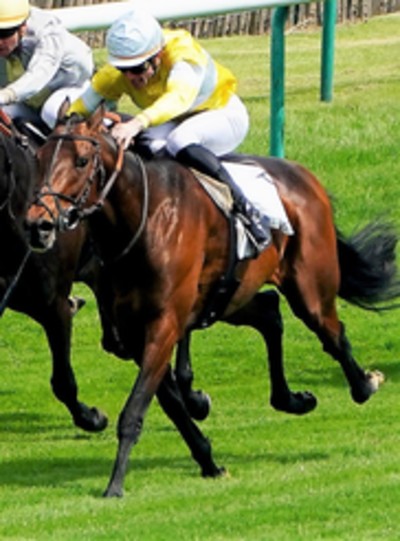 Samedi 27 Juin à Chantilly: La sélection de Thomas!