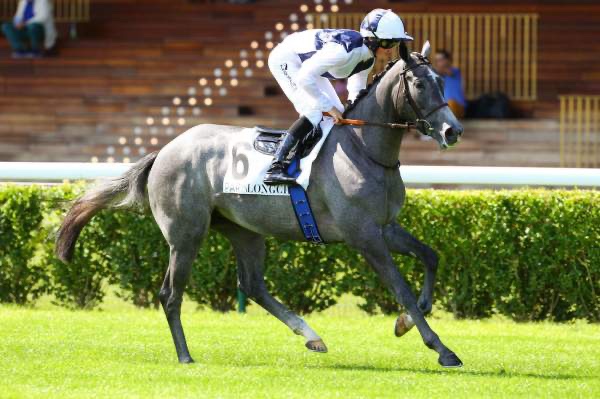Jeudi 3 septembre à ParisLongchamp : La sélection de Thomas !