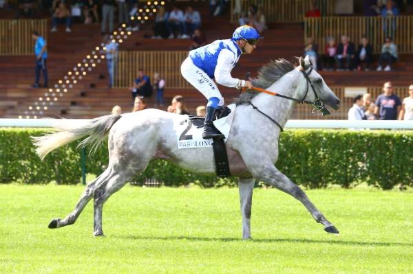 Mardi 15 septembre à Saint-Cloud : La sélection de Thomas !