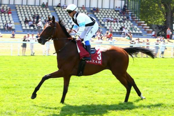 Jeudi 24 septembre à Lyon-Parilly : La sélection de Thomas !