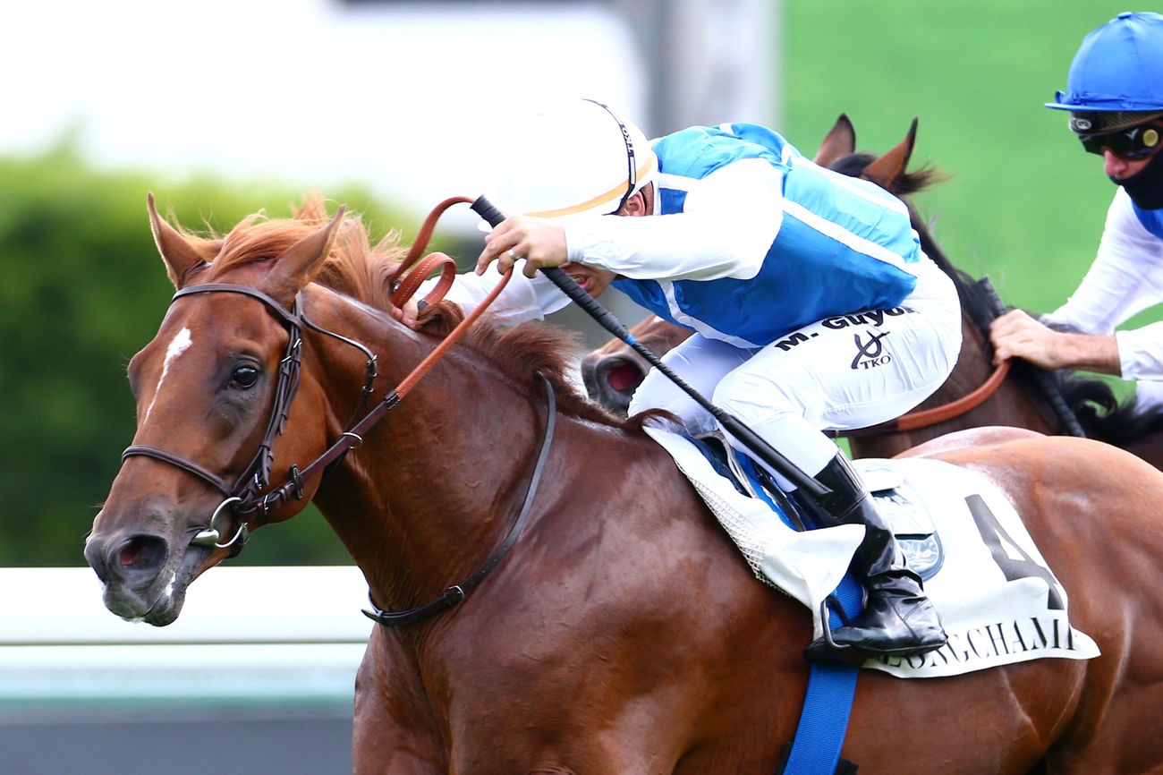 Lundi 28 septembre à Chantilly : La sélection de Thomas !