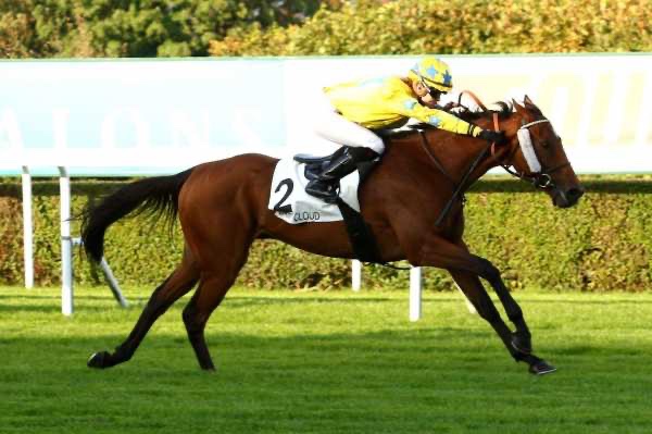 Jeudi 22 octobre à Deauville : La sélection de Thomas !