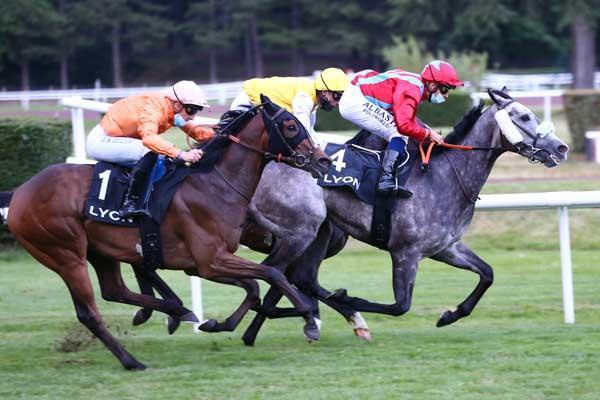 Lundi 21 décembre à Chantilly : La sélection de Thomas !