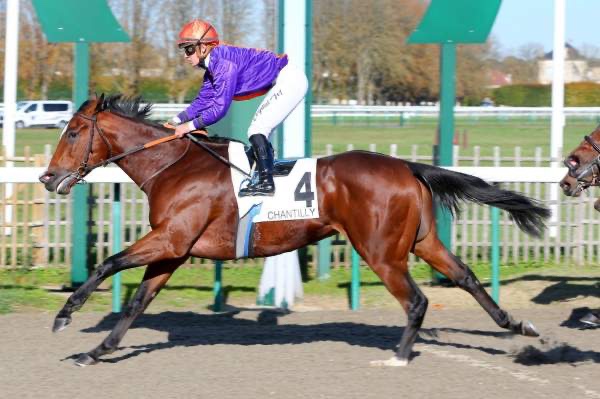 Mercredi 17 février à Cagnes sur mer : La Sélection de Thomas !