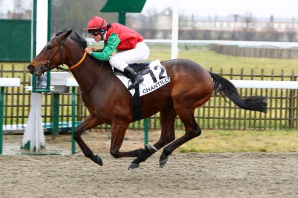 Dimanche 28 février a Lyon la soie : La Sélection de Thomas !