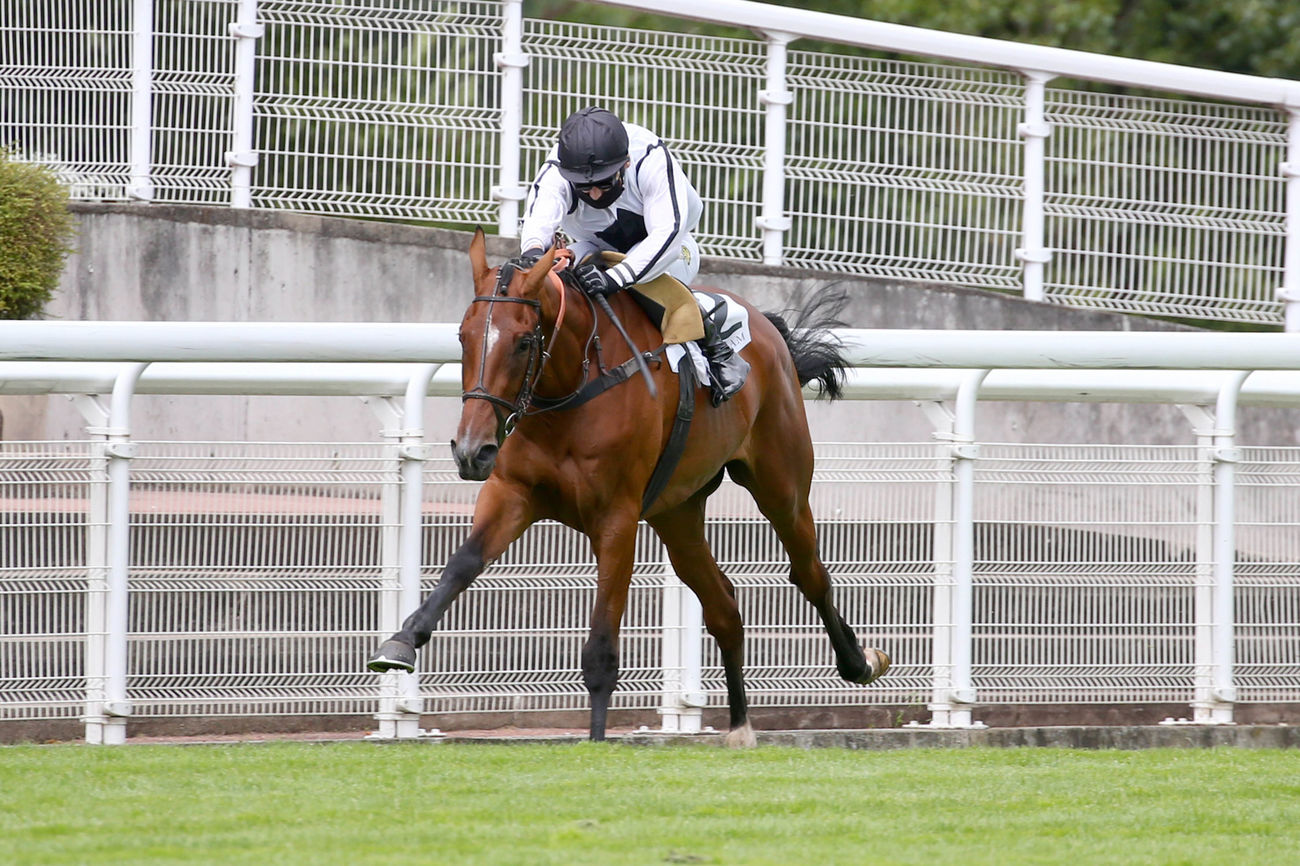 Samedi 20 Mars à Auteuil: Bertrand Lestrade vous dit tout sur ses chances!