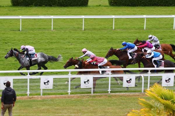 Mardi 9 mars à Chantilly : La sélection de Thomas !