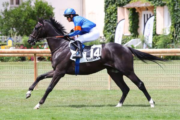 Lundi 8 Mars à Marseille: L’avis d’Axelle Nicco sur ses montes du jour!