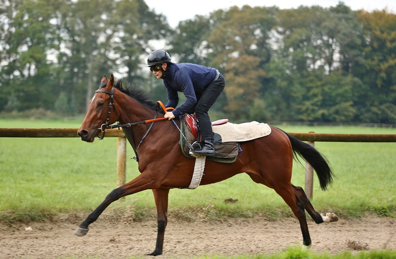 Lundi 3 Mai à Nantes et Nancy: Nos chevaux à suivre!
