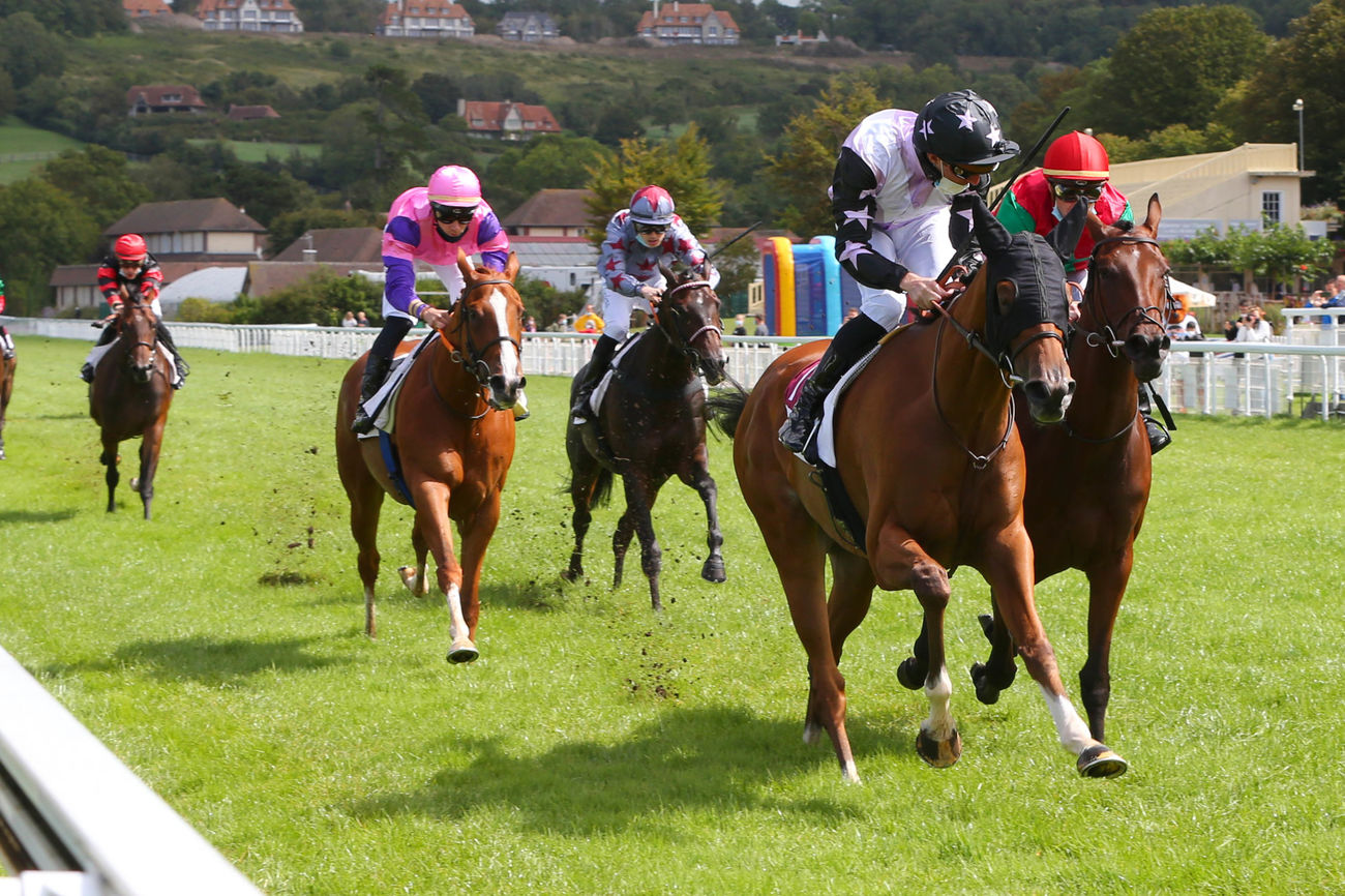 Mercredi 12 Mai à Compiègne: Une « Perle » dans le Quinté!