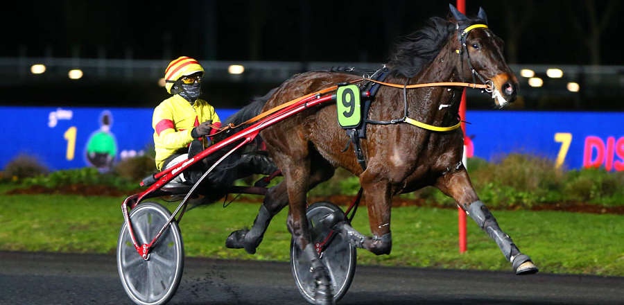 Mardi 11 Mai à Vincennes : Notre sélection!