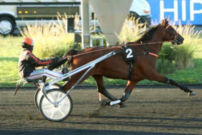 Jeudi 20 Mai à Graignes : Notre sélection!