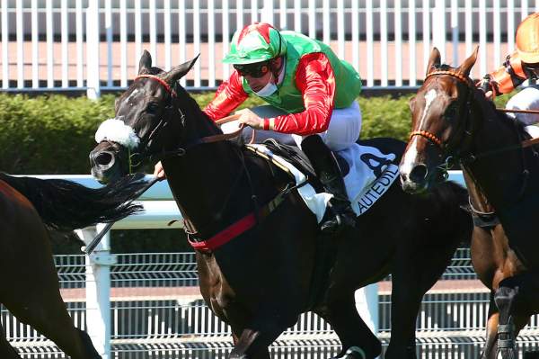 Samedi 8 Mai à Auteuil: Nos coups de coeur!