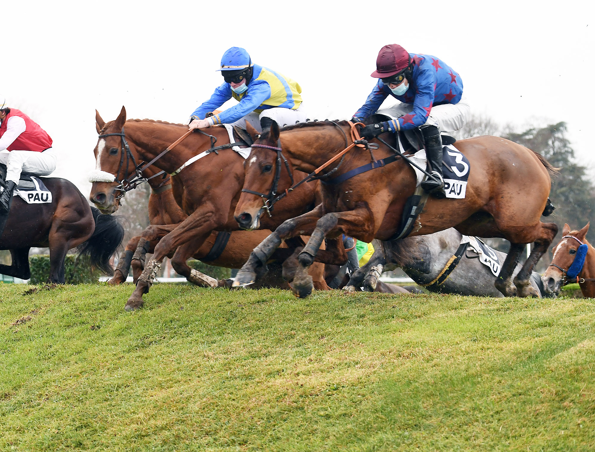 Samedi 4 Décembre à Pau: On ouvre le bal!