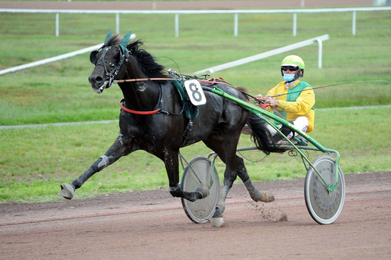 Samedi 8 Janvier à Vincennes : Notre sélection!