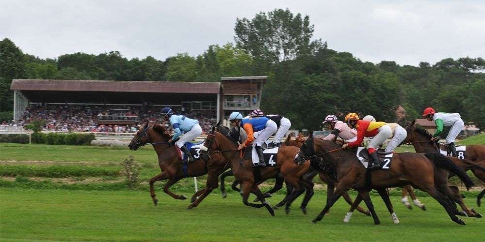 Samedi 12 Mars à Mont-de-Marsan : Ma sélection !