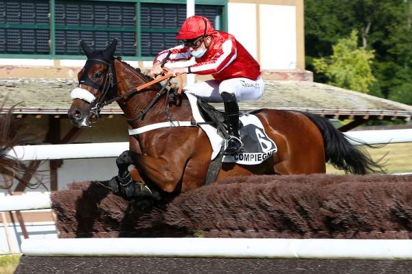 Dimanche 25 Septembre à Craon: Mes chevaux favoris!