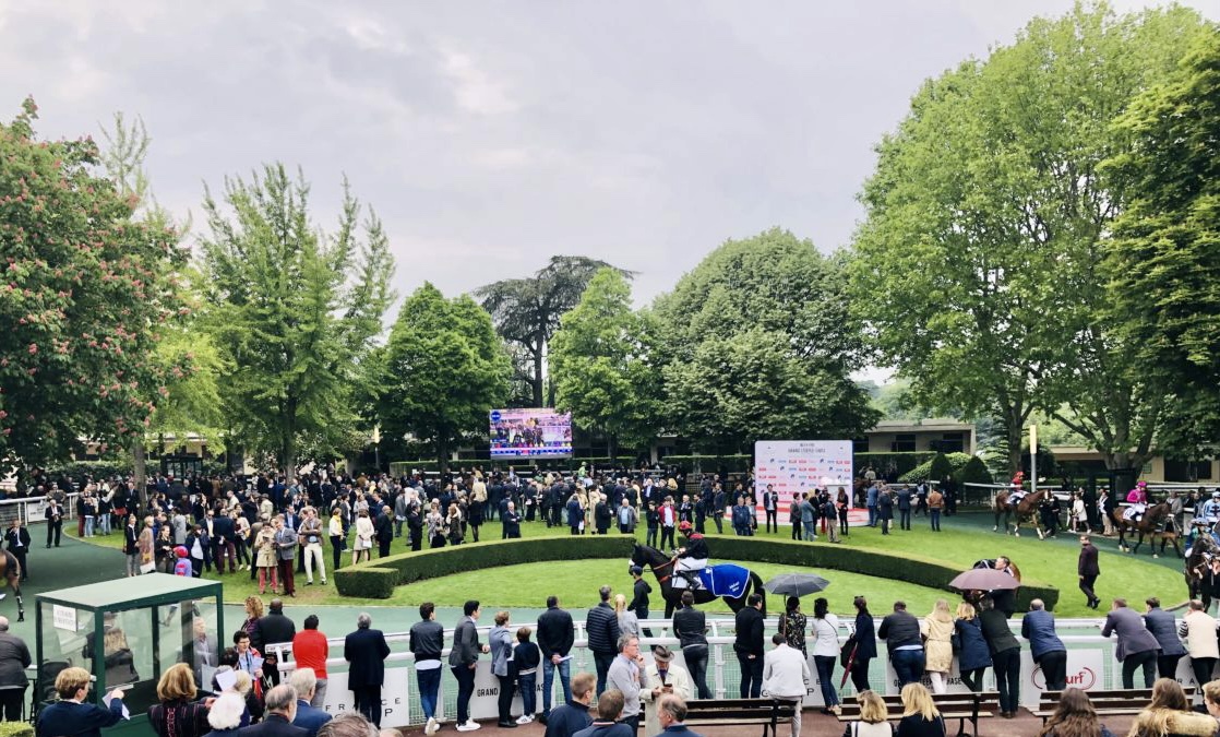 Les courses, un spectacle tout au long de l’année!