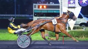 Un mercredi à Toulouse !